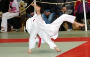 Préparation de l'interclubs 2012 de l'Energie Judo