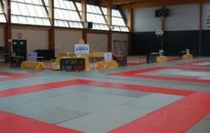 Interclubs de L'Energie Judo Au May sur Evre 