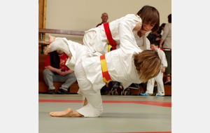 Interclubs Energie Judo Le May sur Evre