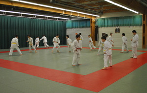 Cours de Judo né en 2006/2005/2004