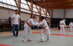 Interclubs 2016 de L'Energie Judo Le May sur Evre